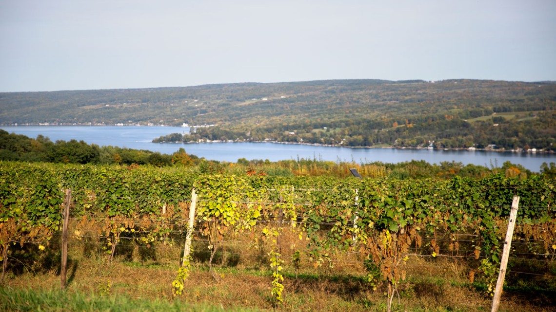 Climate change brings challenges, and opportunities, to Finger Lakes wineries
