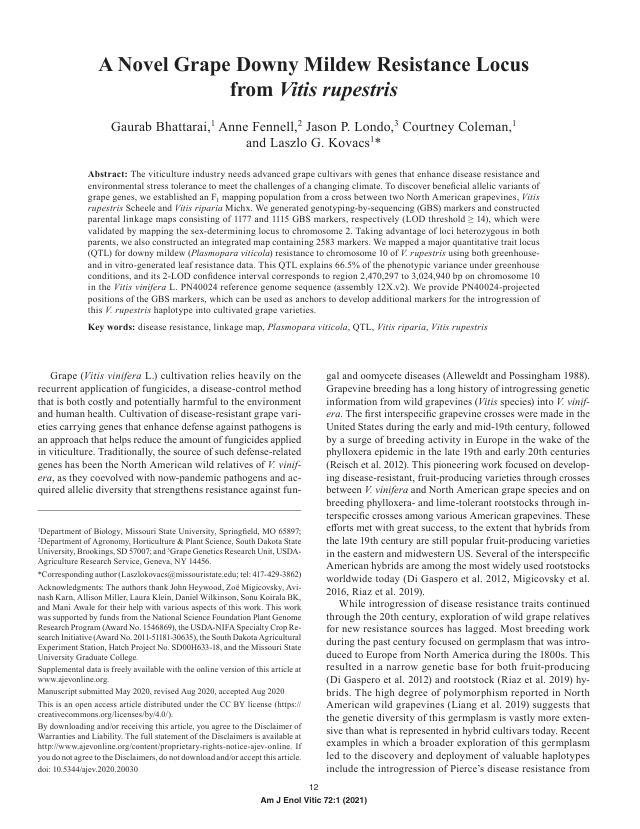 First page