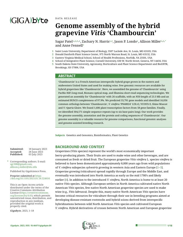 First page