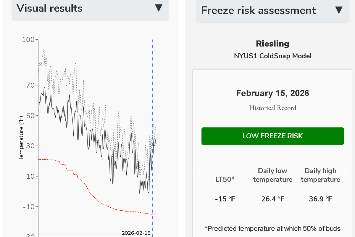 ColdSnap Application
